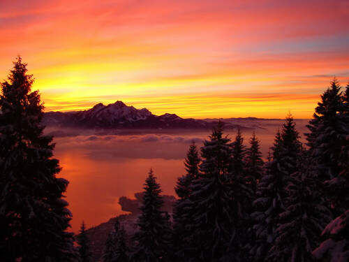 Sonnenuntergang auf der Rigi mit Blick auf den Pilatus

Aufnameort: Rigi (Zentralschweiz)
Kamera: Sony DSC-F505V