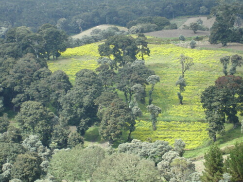 landschaft-am-vulkan-irazu-costa-rica-1212.jpeg