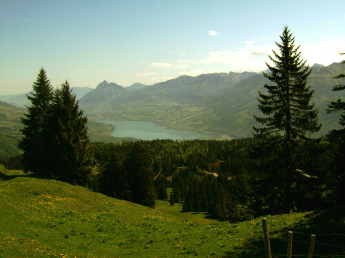 Blick auf den Saner See,Schweiz


