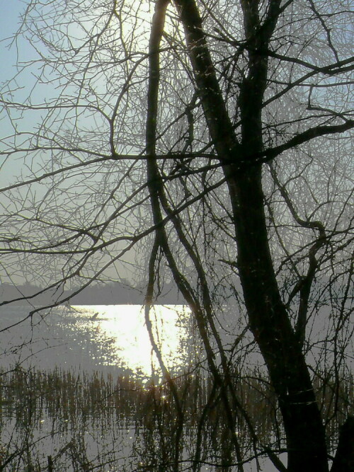 Diese schöne Aufnahme ist mir in den Morgenstunden gelungen,Sie zeigt das Ufer vom Teglersee mit Nebel behangen.

Aufnameort: Berlin
Kamera: FZ-50