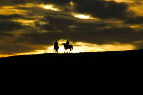 reiten-in-den-sonnenuntergang-1186.jpeg