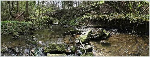 idyllischer waldbach, im hintergrund brücke zu einem alten buntsandsteinbruch - panoramafoto

Aufnameort: lkr. holzminden
Kamera: powershot pro 1