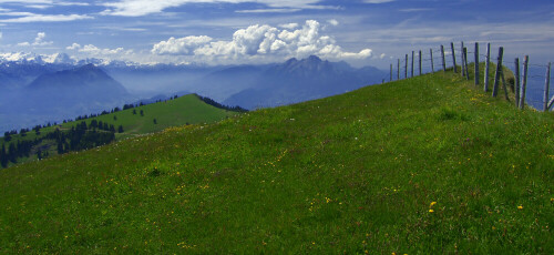 aufgenommen an einem schönen Sommertag auf der Rigi,
 mit Blick auf den Pilatus

Aufnameort: Rigi (Zentralschweiz)
Kamera: SAMSUNG Pro 815