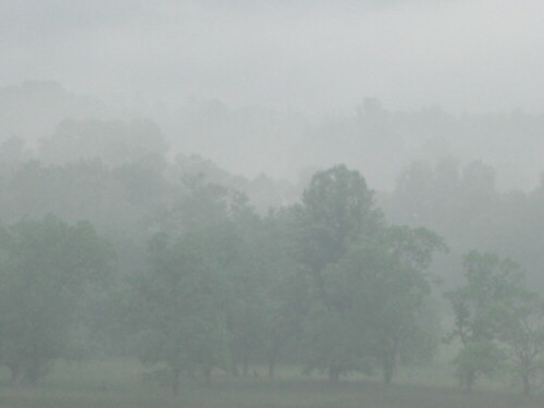 Morgenstimmung in den Smoky Mountains, USA

Aufnameort: Smoky Mountains, USA
Kamera: Casio Exilim