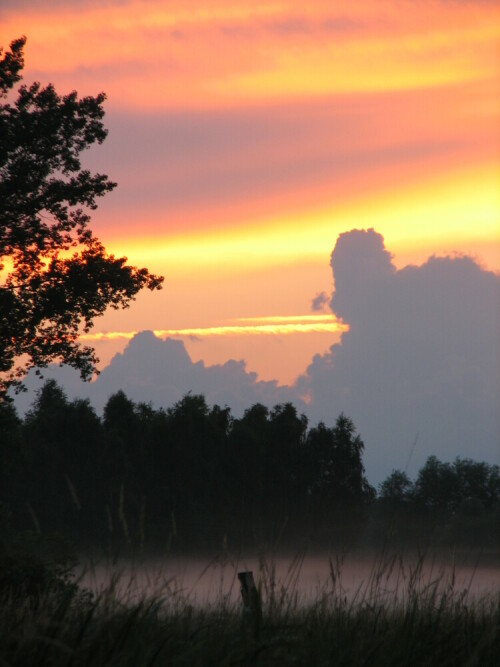 Der Abendnebel steigt aus den feuchten Wiesen hervor und sorgt für eine spannende Stimmung.

Aufnameort: Wendland
Kamera: Canon Power Shot S2 IS