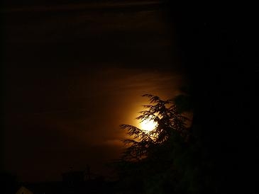 Ich folgte dem Mond auf seiner Bahn durch eine Sommernacht... - Und hielt seinen Weg fest, auch als er begann, hinter einem Baum zu versinken.

Aufnameort: Bodenheim
Kamera: Olympus E-400