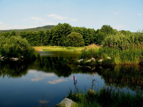 

Aufnameort: Perlsee, Bayr. Wald, 26.07.2007
Kamera: Canon Power Shot A620 1/1250; 4,0; 7,3mm