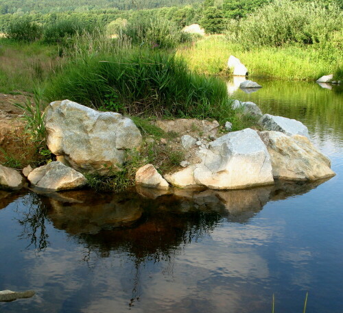 

Aufnameort: Perlsee, Bayr. Wald, 26.07.2007
Kamera: Canon Power Shot A620 1/160; 4,0; 7,3mm