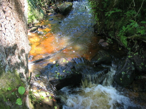 Kleiner Bachlauf in der bayr.Rhön,Sippachsmühle

Aufnameort: bayr.Rhön, Sippachsmühle
Kamera: Digitalkamera Canon