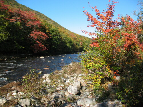 herbst-in-nova-scotia-474.jpeg