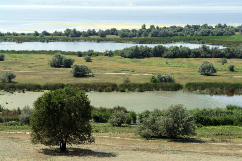 Wolgaufer in der Nähe von Saratov. Der Fluss ist an dieser Stelle etwa 8 km breit.

Aufnameort: Saratov, Russland
Kamera: Sony DSC-R1