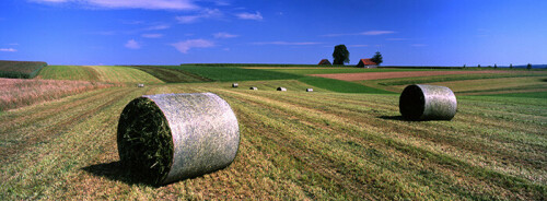 

Aufnameort: Böhmenkirch (Schwäbische Alb)
Kamera: Hasselblad XPan II