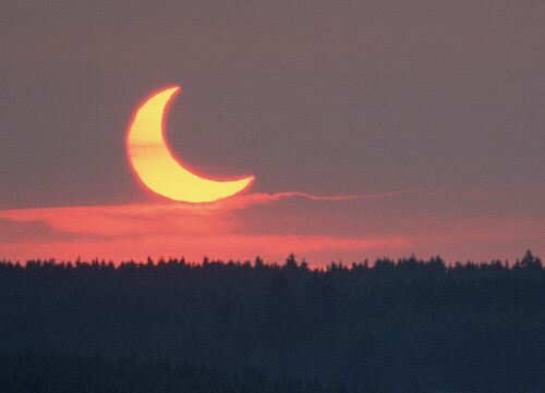 Teilweise Sonnenfinsternis beim Sonnenaufgang.

Aufnameort: Tanne, Harz
Kamera: Canon EOS 3, EF 100-400L IS