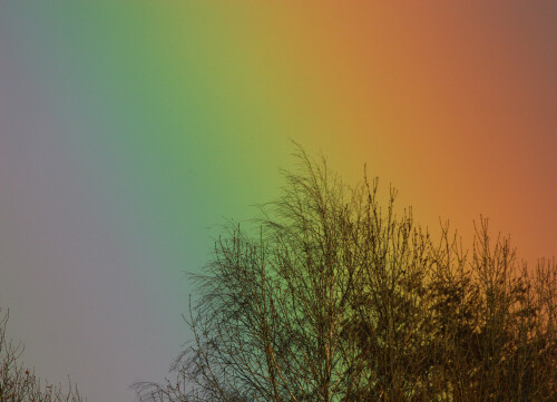 Ausschnitt aus einem Regenbogen.

Aufnameort: Ilkerbruch bei Wolfsburg, NABU-Beobachtungsstand
Kamera: Canon EOS 10D mit 800 mm Brennweite