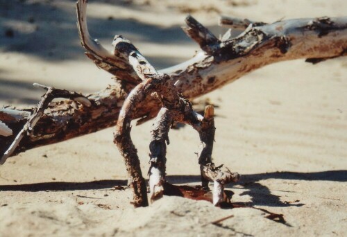 

Aufnameort: Ostsee
Kamera: Nikon D40