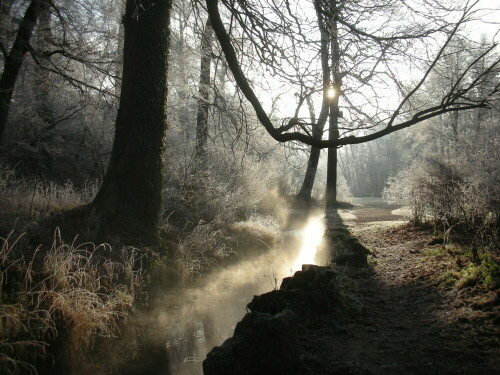 Warme Quelle im Morgenlicht bei strengem Frost


Kamera: Nikon S5