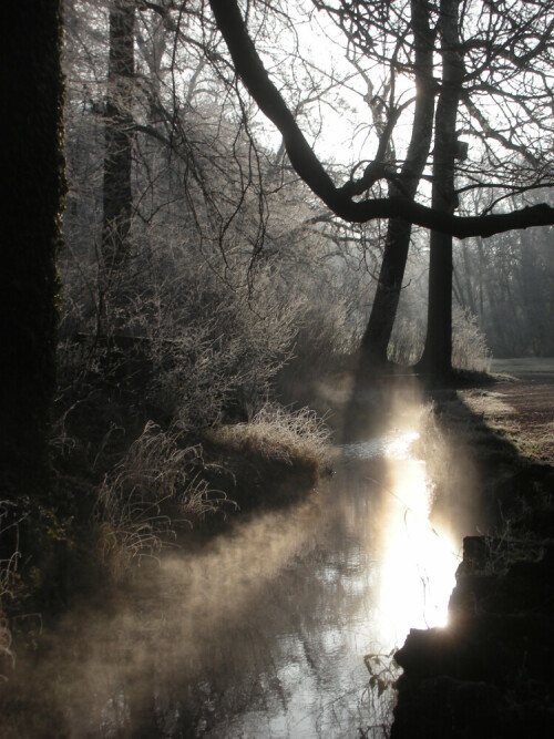 Eine warme Quelle im Morgenlicht bei strengem Frost


Kamera: Nikon S5