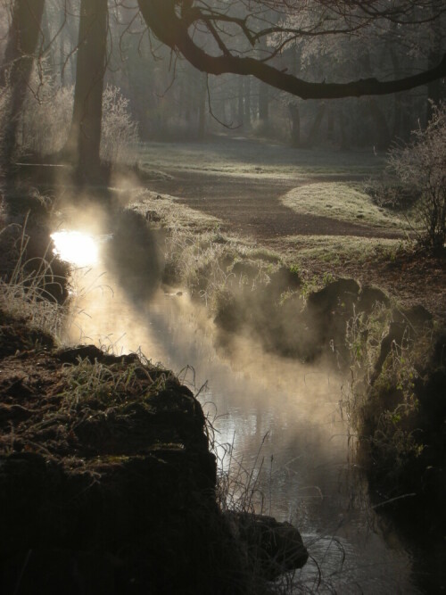 Eine warme Quelle im Morgenlicht bei strengem Frost


Kamera: Nikon S5