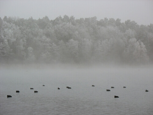 winterlandschaft-am-see-1248.jpeg