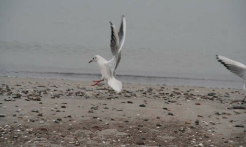 

Aufnameort: Heiligendamm
Kamera: Canon Eos 350D