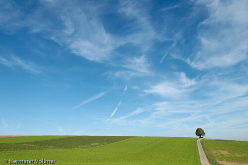 Auch eine durch die Flurbereinigung ausgeräumte Landschaft kann fotografisch interessant sein.

Aufnameort: DEU, BW, Ditzingen-Schöckingen
Kamera: Nikon D70, AF-S Nikkor 18-200/ 1:3.5-5.6, bei 18mm