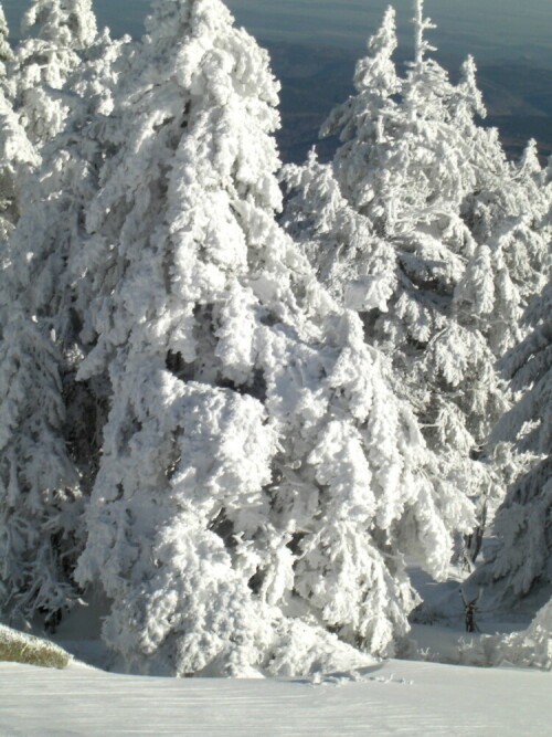 schnee-und-sonne-auf-dem-brocken-1062.jpeg