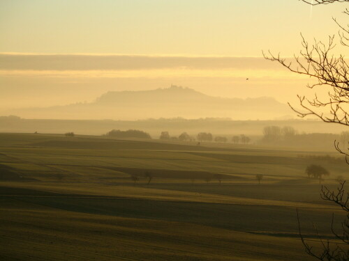 goldener-morgen-9484.jpeg