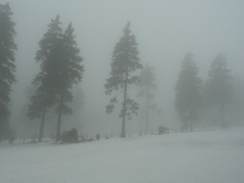 Das vis-a-vis zum Fichtelberg ist der tschechische Keilberg, der binnen kurzer Zeit im Nebel verschwand.

Aufnameort: Erzgebirge, Grenzgebiet hinter Oberwiesenthal
Kamera: Panasonic, DMC-TZ2