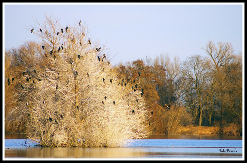 

Aufnameort: Nordhausen
Kamera: Pentax K100 D