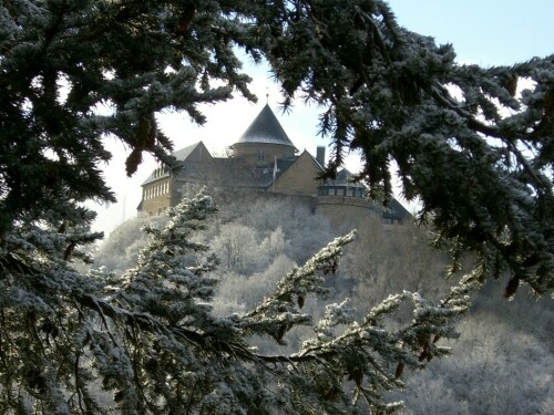 Burg in Waldeck, fotografiert aus dem Fenster der Ferienwohnung

Aufnameort: Waldeck, Hessen
Kamera: LUMIX FZ 38