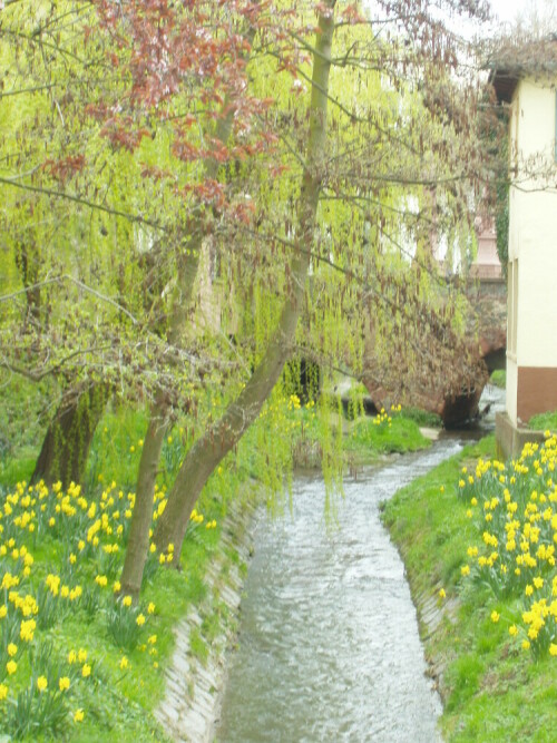 Frühjahrs Anblick

Aufnameort: Bensheim, Bergstraße
