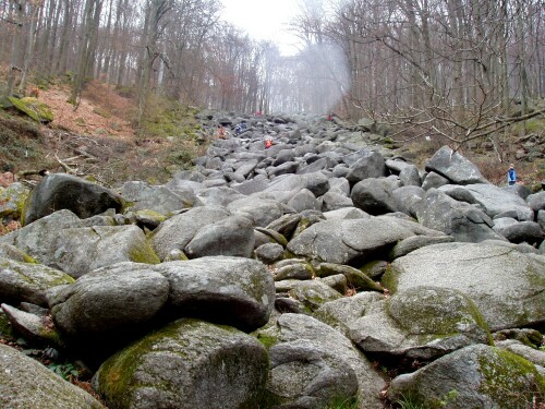 

Aufnameort: Felsenmeer, Lautertal im Odenwald
