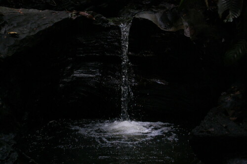 Ein kleiner Wasserfall mitten im Wald

Aufnameort: Punta Banco, Costa Rica
Kamera: Nikon D40