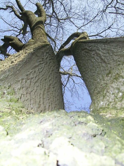 Aus eins mach zwei oder aus zwei mach eins?


Aufnameort: Igling bei LL 2008
