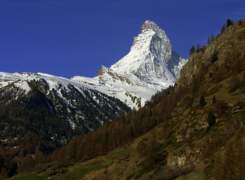 morgen`s früh um 8 am Matterhorn (Schweiz)

Aufnameort: Zermatt
Kamera: SAMSUNG Pro 815