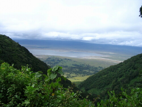 ngorongoro-krater-1612.jpeg