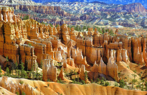 bryce-canyon-1573.jpeg