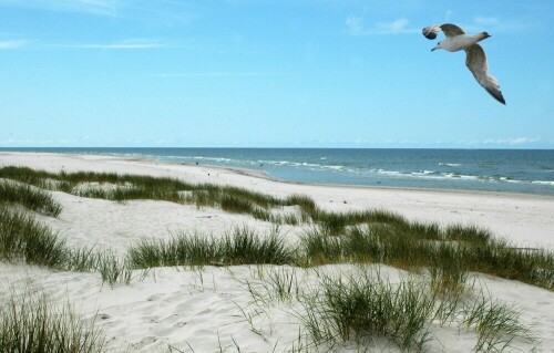 Ostseestrand bei Leba.

Aufnameort: Slowinski-Nationalpark, Pomorze.
Kamera: Nikon D300