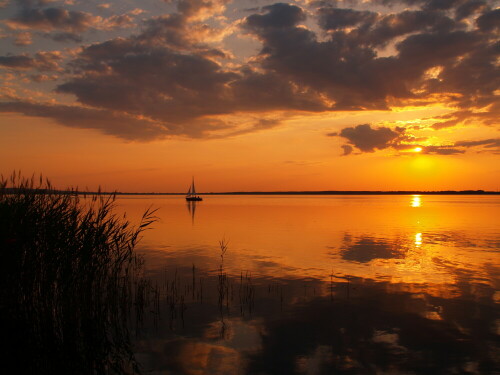 abendgold-3591.jpeg