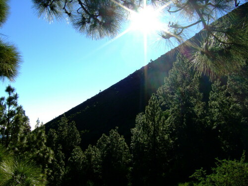 

Aufnameort: La Palma
Kamera: Fuji FinePix F11