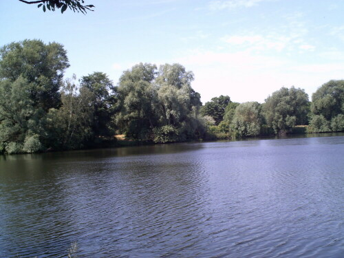 

Aufnameort: Rohrbruchteich in Spandau
