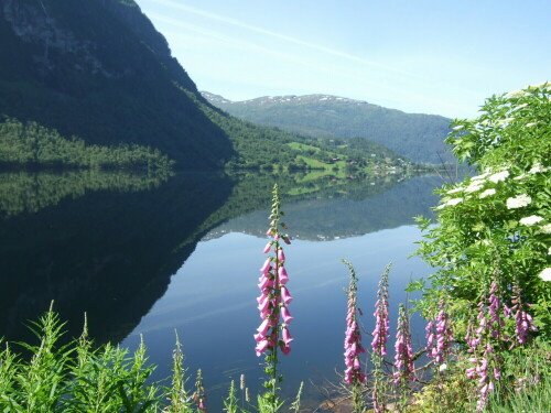 Fjord in Norwegen


