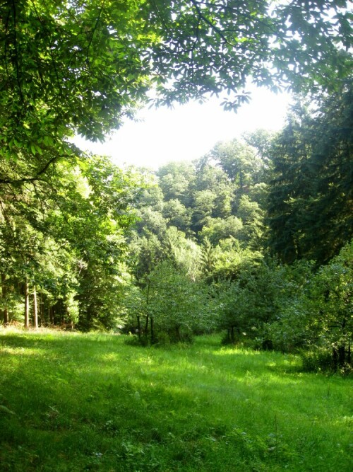 Stilles Tälchen im Odenwald

Aufnameort: Wald in Schriesheim
Kamera: Canon Ixus 950 IS