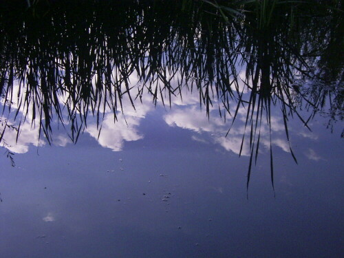 Ein kleiner Weiher mit viel Wirkung

Aufnameort: Igling am 19.07.2008
