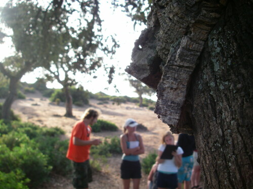 

Aufnameort: Andalusien - Los Alcornocales
Kamera: Pentax Optio W10