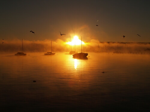 sonnenaufgang-am-ammersee-3683.jpeg
