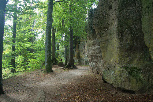 Die Heidenmauer liegt teils unterhalb des Klosters Odilienberg.
Es ist ergreifend, dort entlang zu gehen.

Aufnameort: Odilienberg Elsass
Kamera: Nikon D50