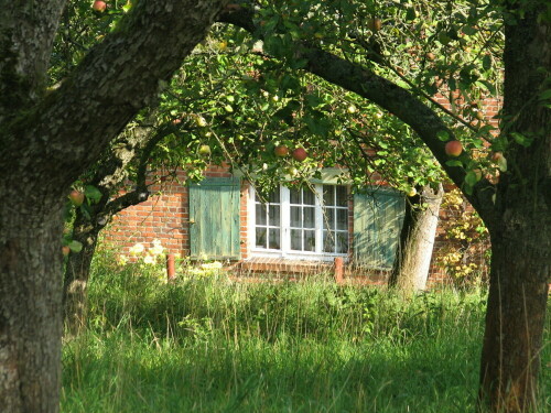 Mitten in der Streuobstwiese steht das alte Haus des Obstbauern.

Aufnameort: Höhbeck im Wendland
Kamera: Canon Power Shot S2 IS