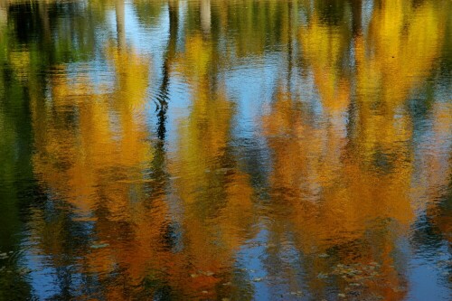 Herbstliche Ahornallee spiegelt sich im Schloßweiher

Aufnameort: Triesdorf
Kamera: Nikon D 70