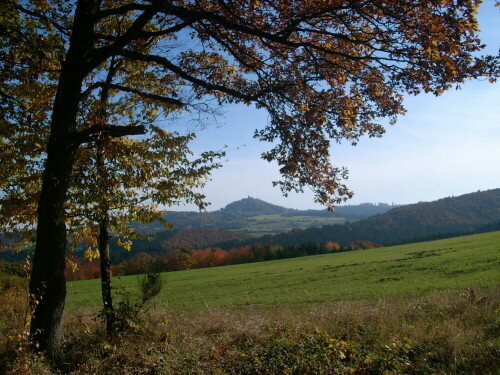 Blick auf die Nürburg

Aufnameort: Metzgesfeld
